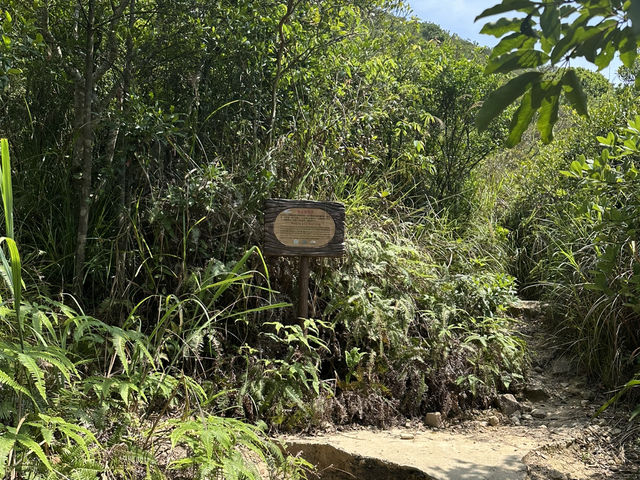 玉桂山探險：在鴨脷洲的自然美景中與心靈對話！