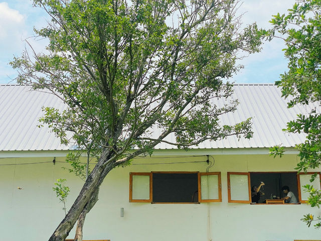 Anna Coffee Roasters Huaruea - คาเฟ่ในสวนบรรยากาศดี