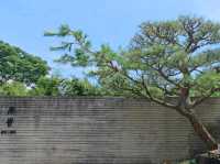 #富貴牡丹三義館-苗栗縣三義鄉