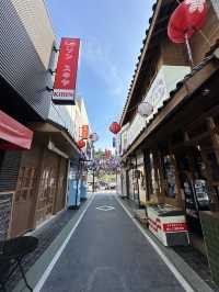 ตลาดญี่ปุ่น บางแสนโทชิน