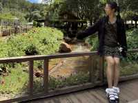 5-Day Dalat & Phan Thiet Tour: Crazy House and White Sand Dunes Immersive Exotic Experience