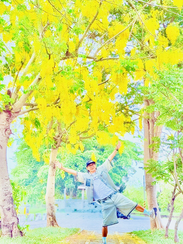 崙頂里河堤步道