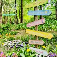 Seoul Forest Park: A Green Escape in the City