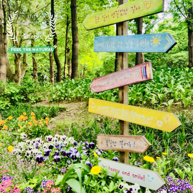 Seoul Forest Park: A Green Escape in the City