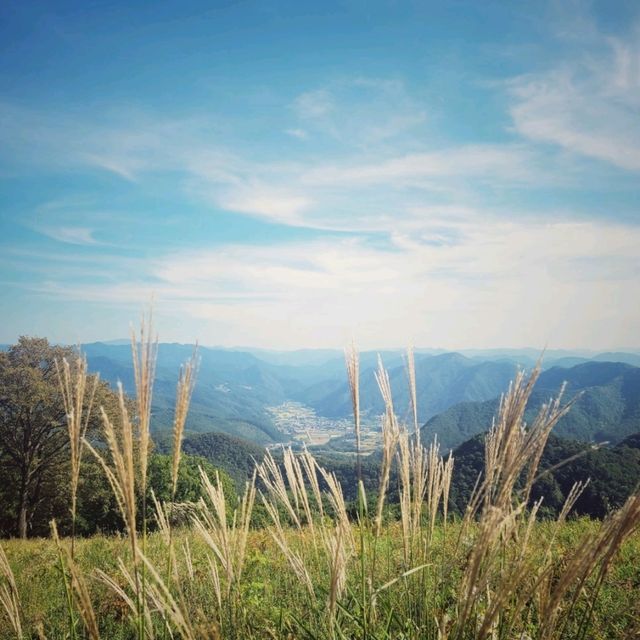 평창트레킹🧡산너미목장트레킹