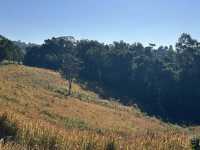 Khao Yai National Park Adventure