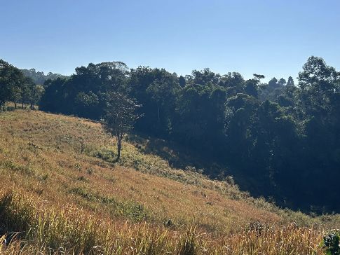 Khao Yai National Park Adventure