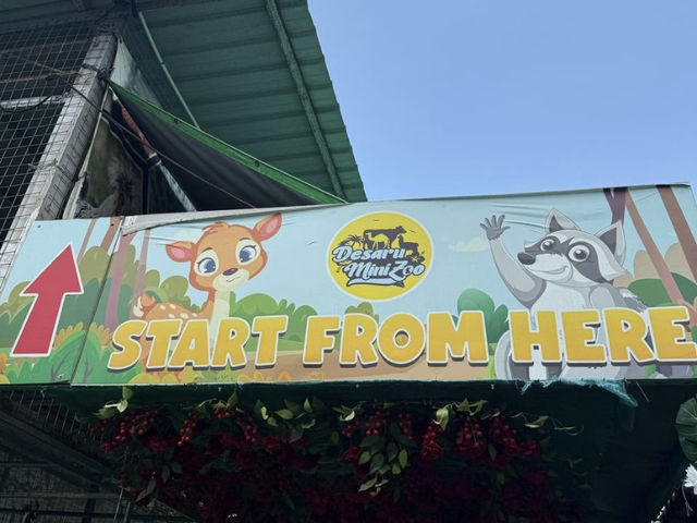 🦙【Desaru Mini Zoo Day Trip 🐾｜Perfect for a Family Chill-Out Day!】