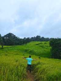 อุทยานแห่งชาติเขาใหญ่ จ.นครราชสีมา