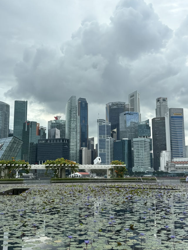 รีวิวเที่ยวสิงคโปร์คนเดียว🇸🇬