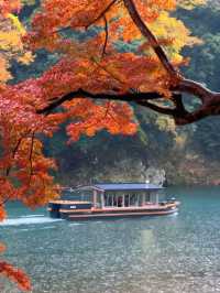 🍁ซักครั้งในชีวิต ฤดูใบไม้เปลี่ยนสี ต้องมาที่นี่!🍂