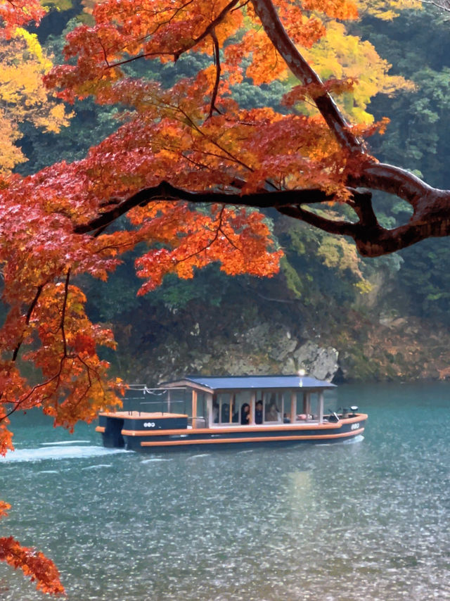 🍁ซักครั้งในชีวิต ฤดูใบไม้เปลี่ยนสี ต้องมาที่นี่!🍂