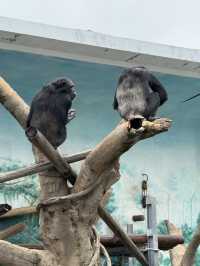 大阪天王寺動物園