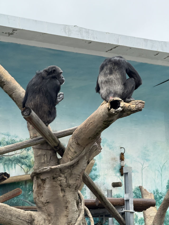 大阪天王寺動物園