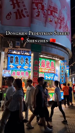 🇨🇳 Dongmen Pedestrian Street