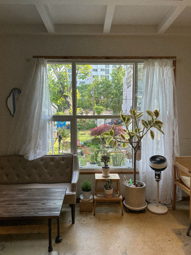 푸릇한 정원이 있는 칠곡 카페 시선