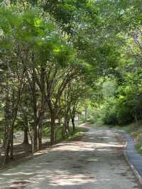 🌲 자연과 함께하는 힐링 교육의 장, 충북 산림환경연구소 (미동산수목원)