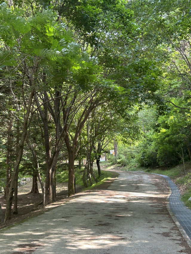 🌲 자연과 함께하는 힐링 교육의 장, 충북 산림환경연구소 (미동산수목원)