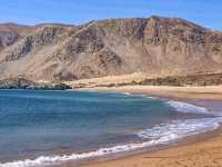 Pan de Azúcar National Park – Chile’s Desert Meets the Ocean