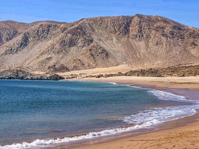 Pan de Azúcar National Park – Chile’s Desert Meets the Ocean