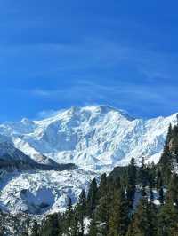 🏔️Fairy Meadows – Not Just a Name, But a Feeling