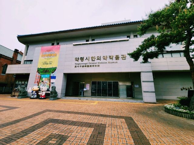🌿【草藥與人蔘的故鄉】大邱藥令市場：一段與韓醫相遇的旅程