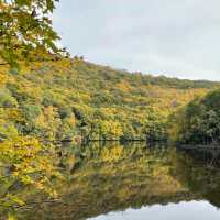 Eifel National Park Hike 🌲🚶‍♀️