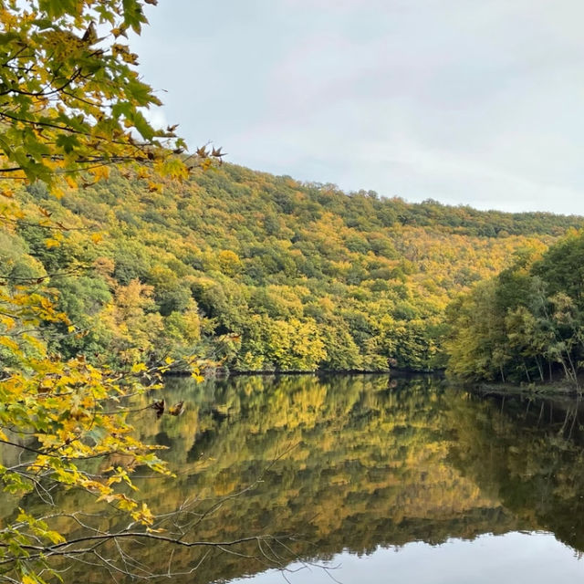 Eifel National Park Hike 🌲🚶‍♀️