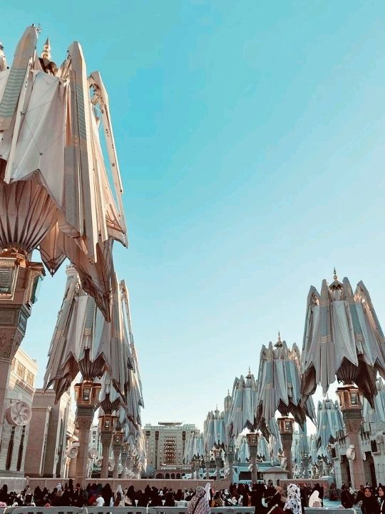 Touched by Tranquility: My First Steps in Masjid Nabawi 🕊️