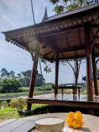 🌿 Peaceful Stopover Escape – Divalux Resort & Spa Bangkok  🛬🏝️🛏️