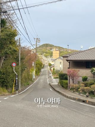 Nagoya Day Trip to a Charming Small Town: Inuyama