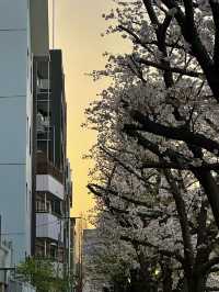 โอซาก้า🇯🇵