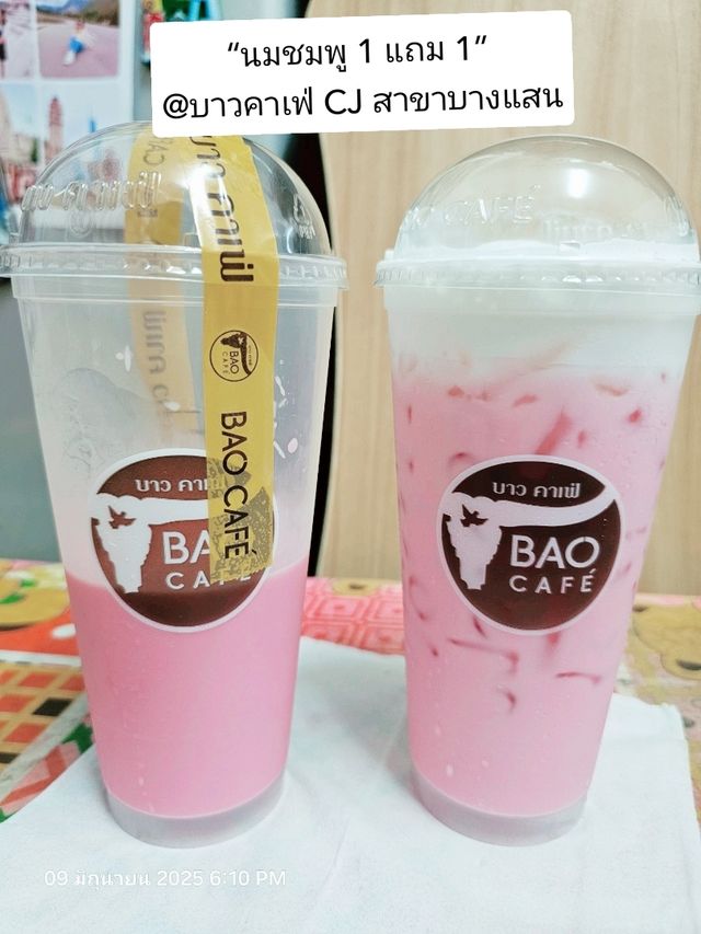“นมชมพู 1 แถม 1” ที่บาวคาเฟ่ สาขาบางแสน