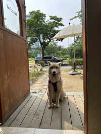 동편마을의 아늑한 다락방 감성☕️ 카페 우디드 커피