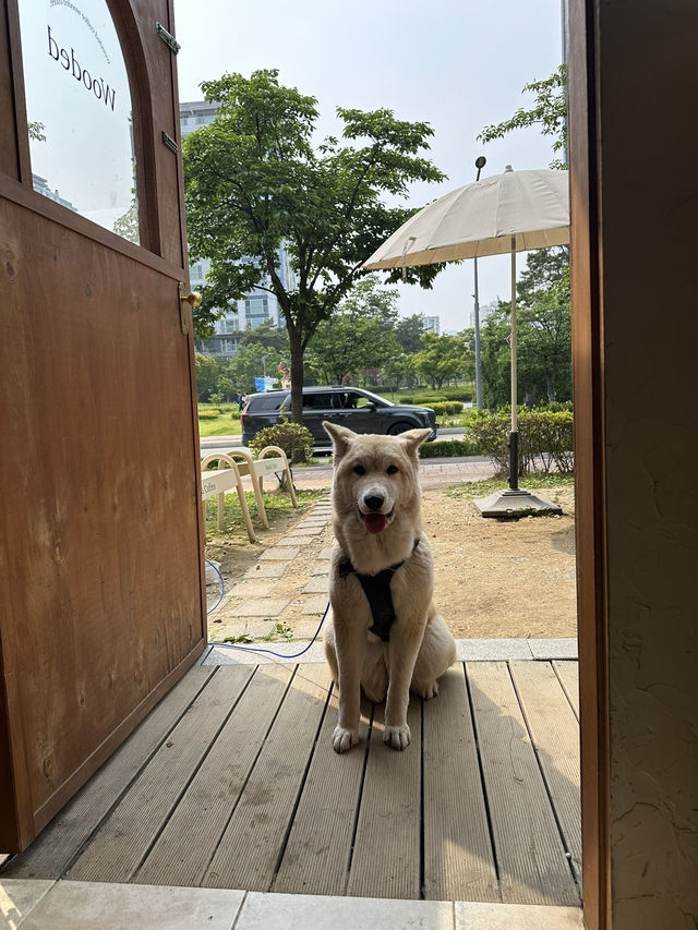 동편마을의 아늑한 다락방 감성☕️ 카페 우디드 커피