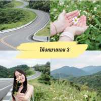 รวม 9 พิกัด ที่เที่ยว ที่กิน ที่พัก และคาเฟ่ น่าน