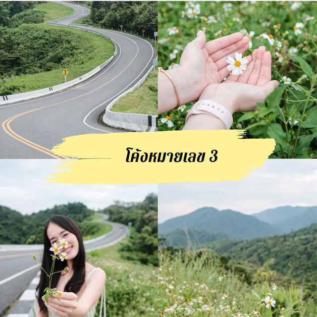 รวม 9 พิกัด ที่เที่ยว ที่กิน ที่พัก และคาเฟ่ น่าน