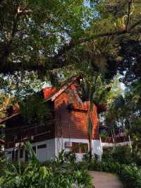 River Breezes & Jungle Vibes: A Weekend in Taman Negara Pahang