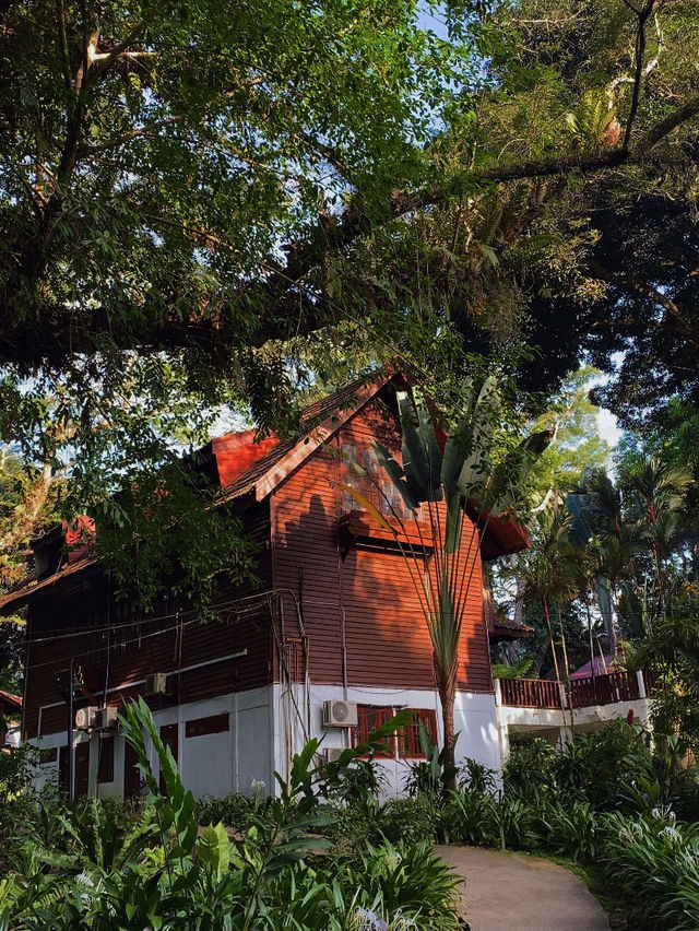 River Breezes & Jungle Vibes: A Weekend in Taman Negara Pahang