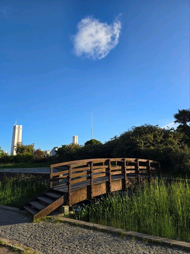 유럽여행 포르투갈 리스본의 예쁜 공원 Casa Ventura Terra