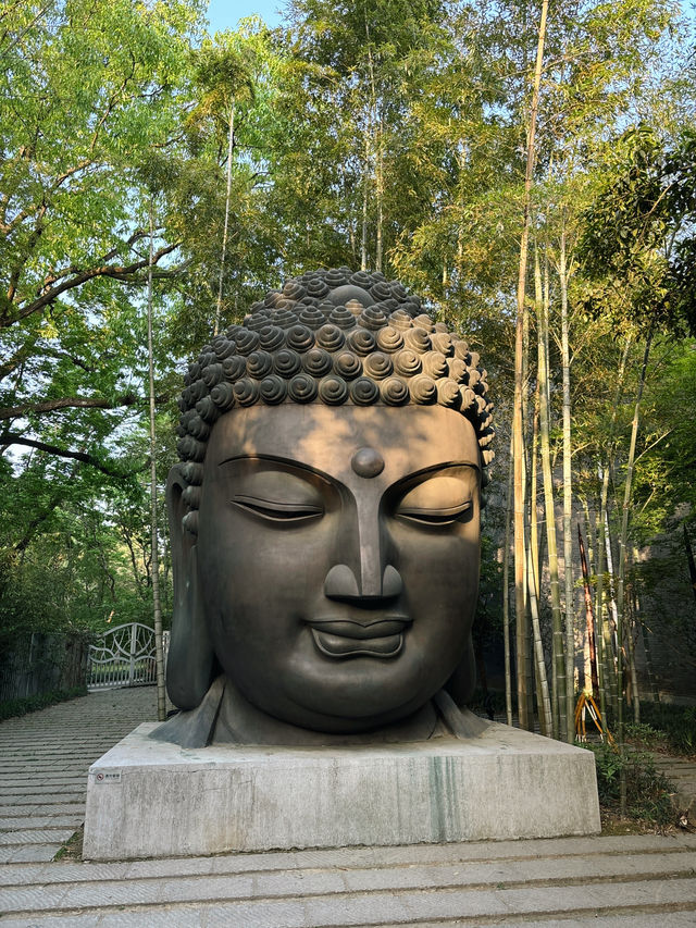  Hangzhou Botanical Garden