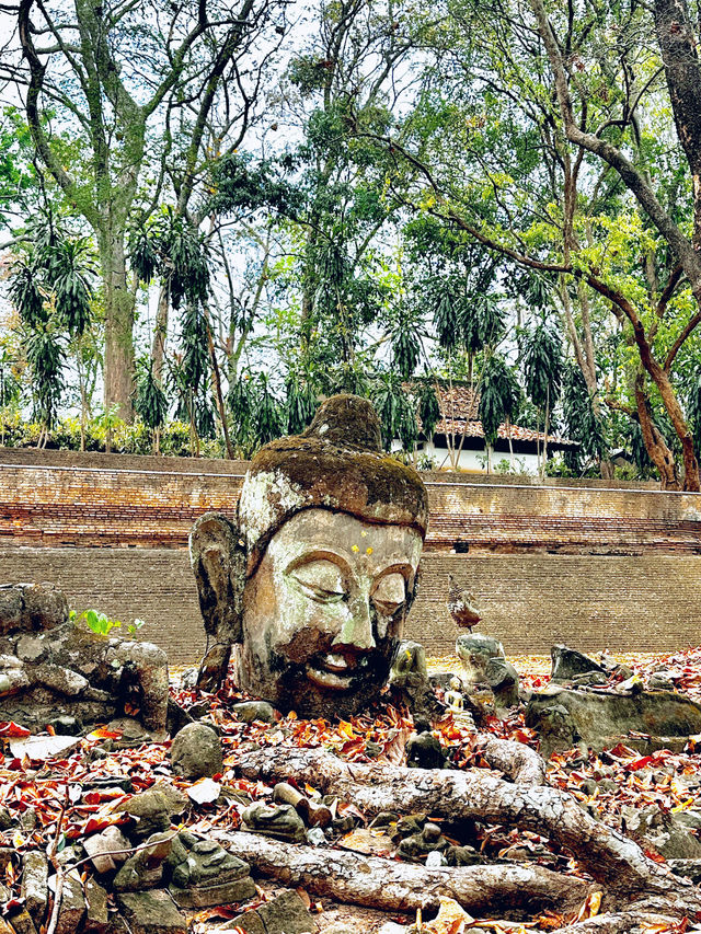 Wat Umong thriving meditation center of 13th century 