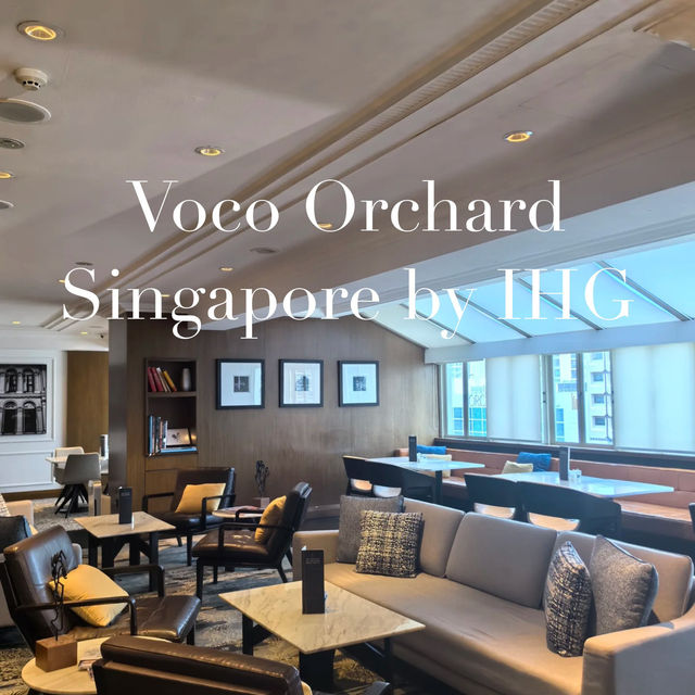 VOCO Orchard Singapore: A Diamond Status Dream! 💎