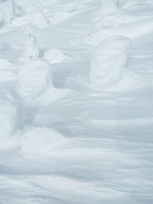 ❄️【山形・蔵王温泉＆樹氷】自然の神秘と温泉が待つ、極上の山旅