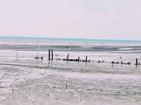 Tanjung Sepat Beach View: Rustic Coastal Charm