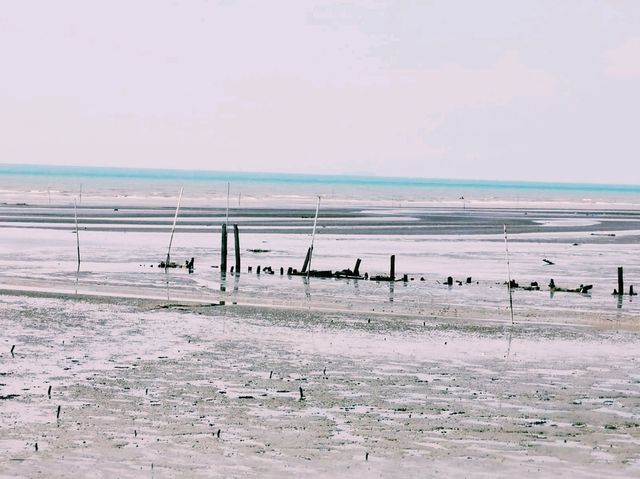 Tanjung Sepat Beach View: Rustic Coastal Charm