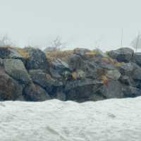 หิมะครั้งแรกของฉัน ณ กำแพงหิมะ Murodo Snow Wall 
