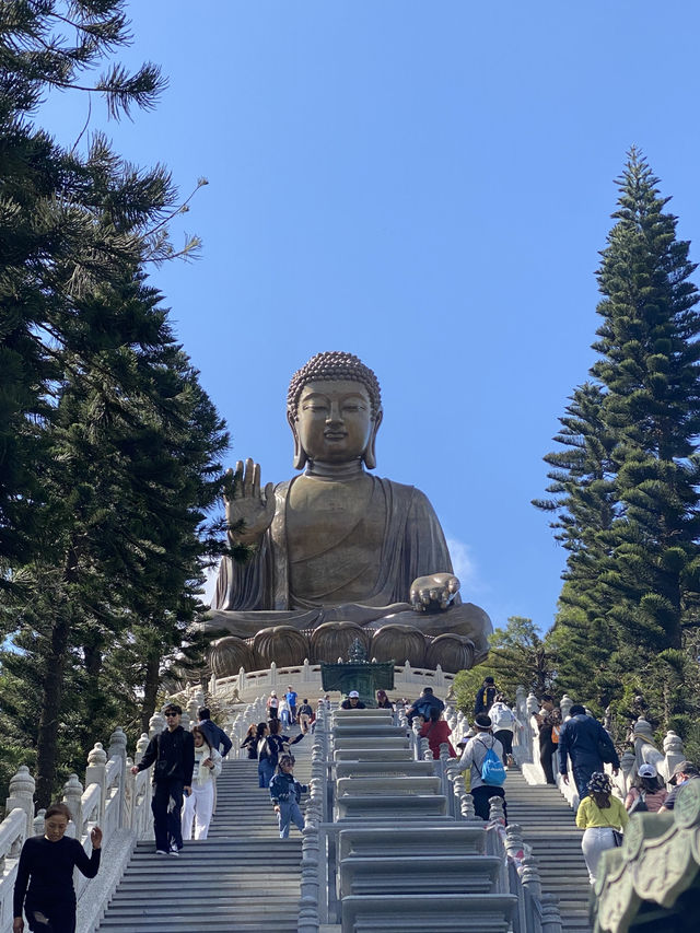 Polin Monastery | Tian Tan Buddha Hong Kong