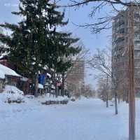 설국 삿포로, 잊지 못할 겨울왕국 여행 계획 & 가이드 ❄️☃️
