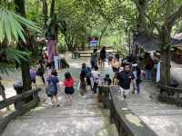 Farm In The City KL – A Fun and Hands-On Experience for the Whole Family